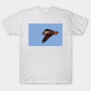 Headless Osprey? T-Shirt